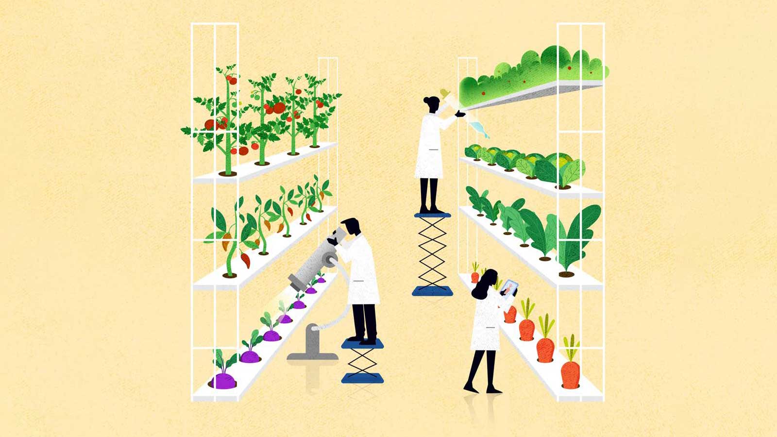 Food innovation: Investing to feed our future