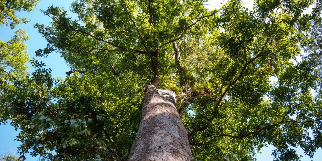 Rio Tinto (ASX:RIO) departures - a win for ESG?