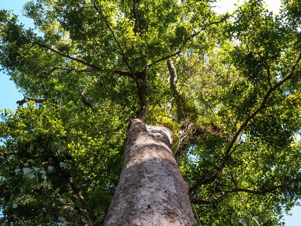 Rio Tinto (ASX:RIO) departures – a win for ESG?