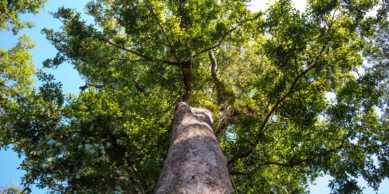 Spread is your value factor