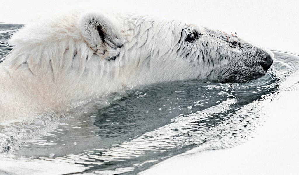 Scrubbing up the application of ESG