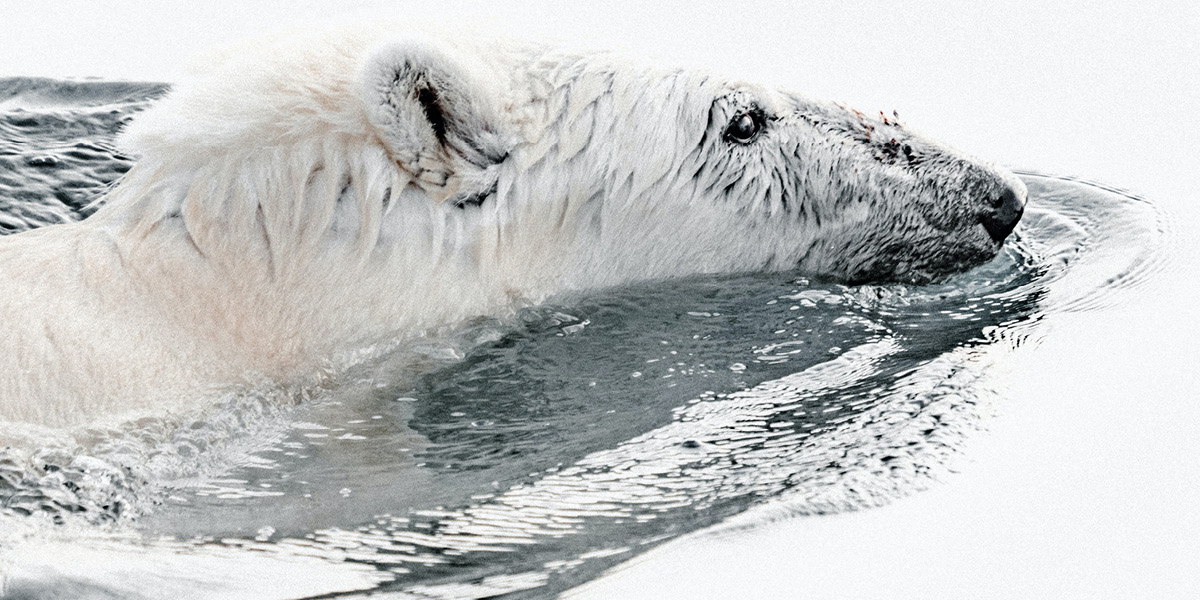 Scrubbing up the application of ESG