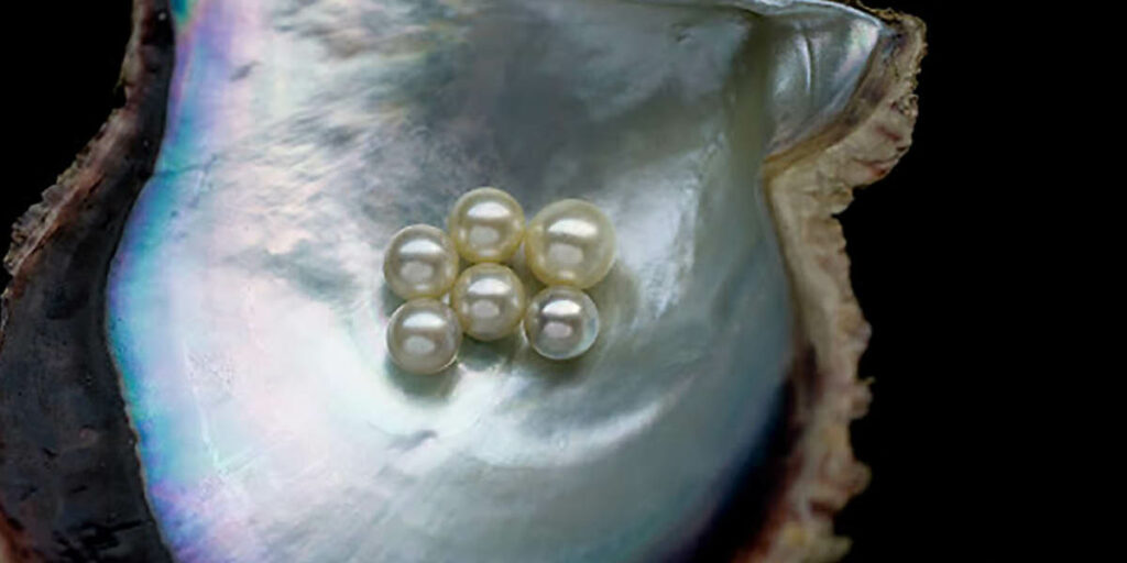 6 Pearls of Wisdom From June