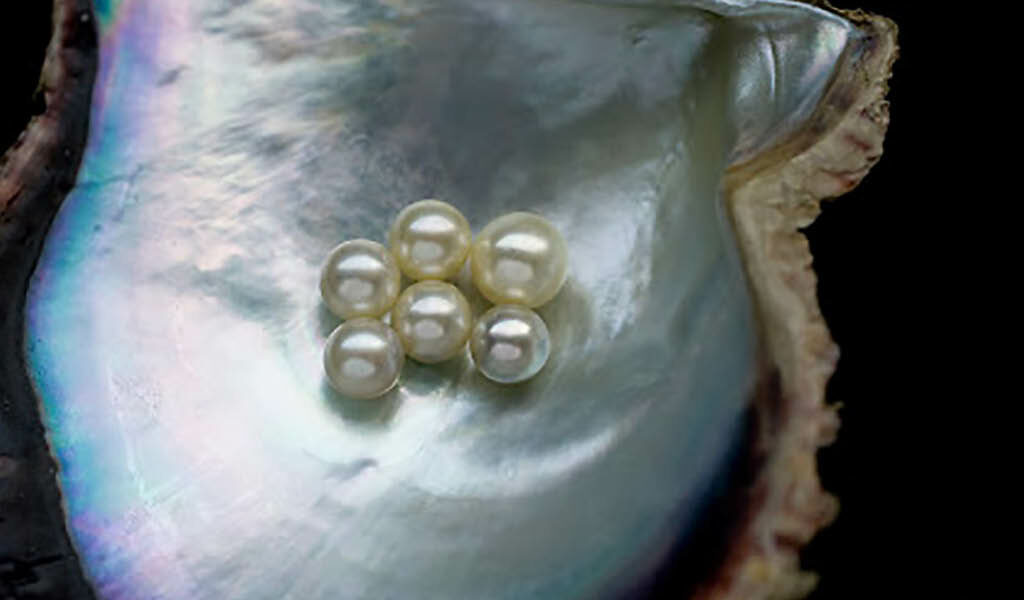 6 Pearls of Wisdom From June