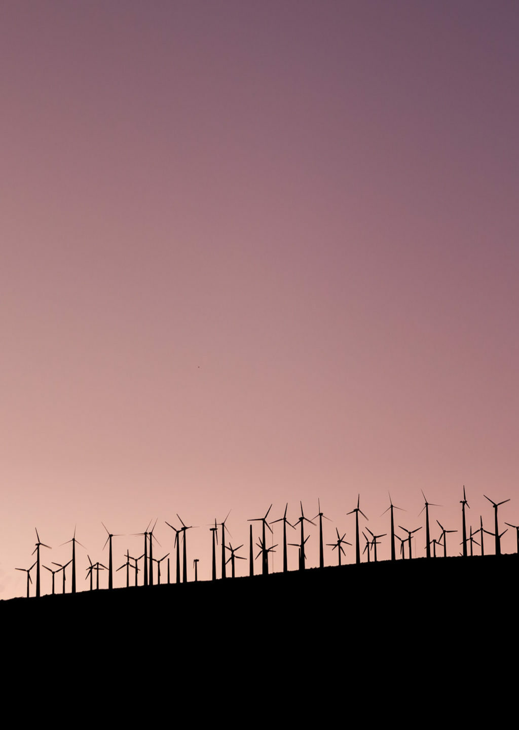 ESG ratings under scrutiny