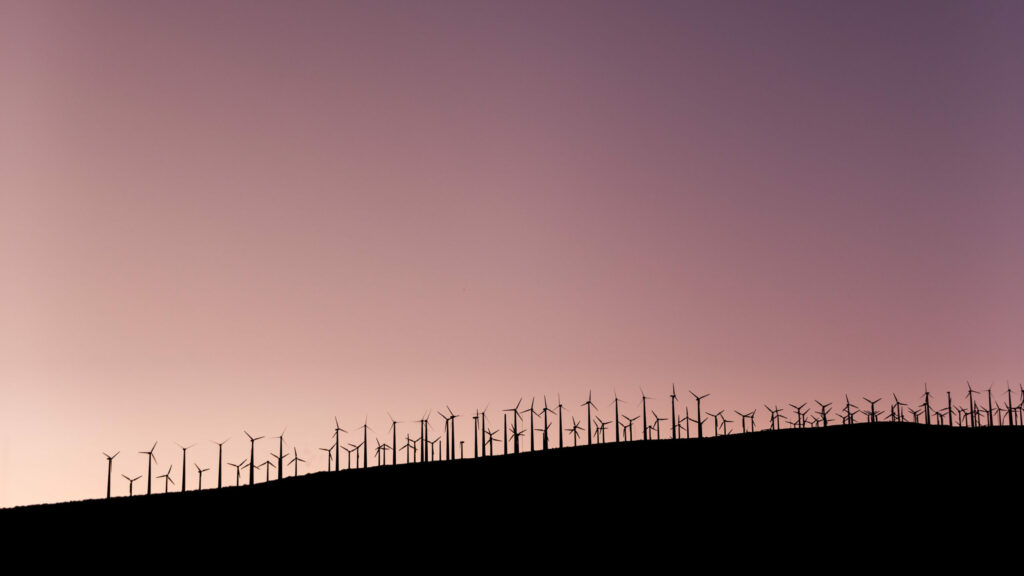 ESG ratings under scrutiny