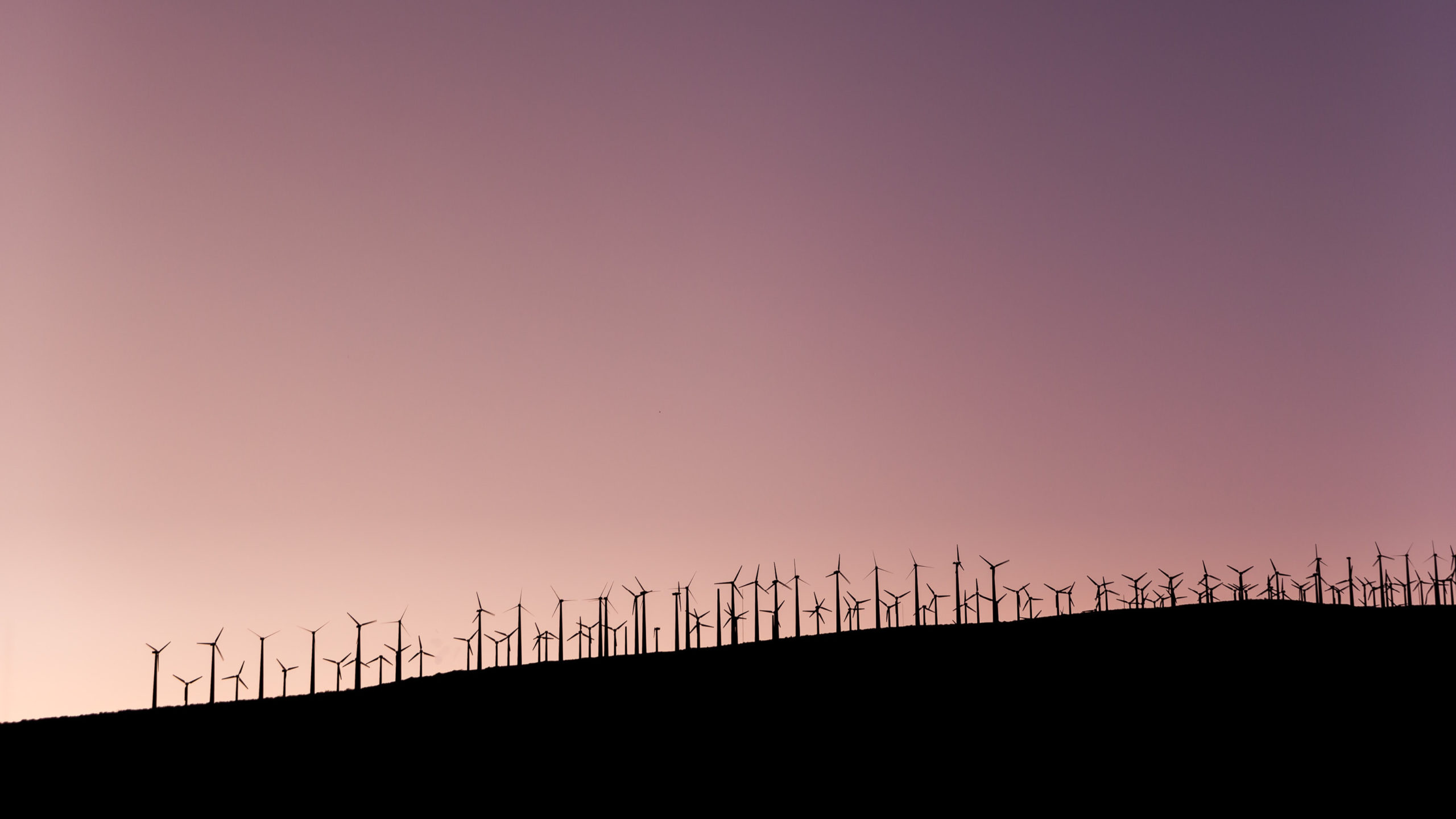 ESG ratings under scrutiny