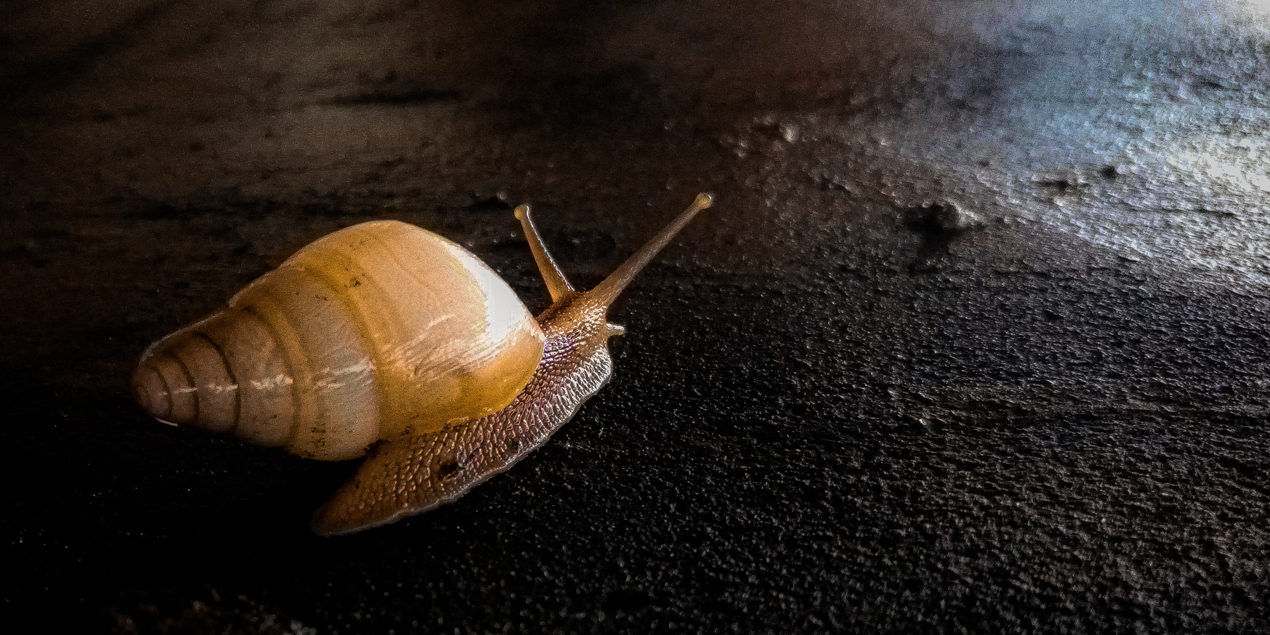 Eaton Vance Monthly Market Monitor