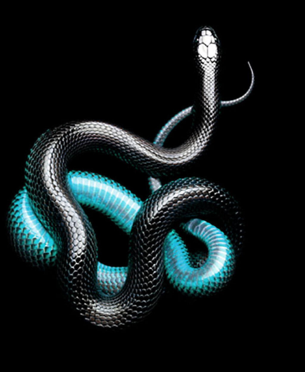 The FAANGs of fixed interest