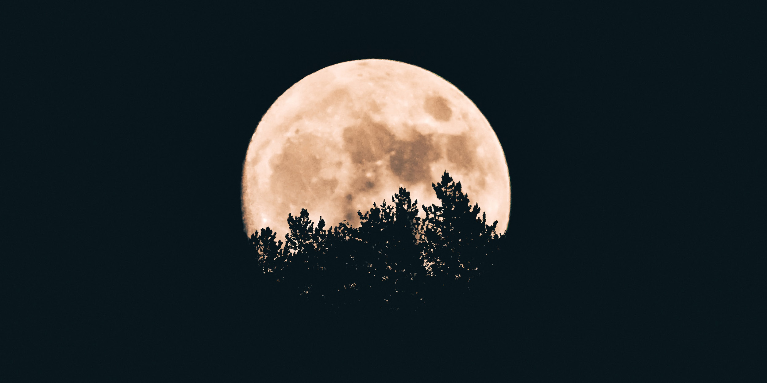 Time for alternative investments to shine