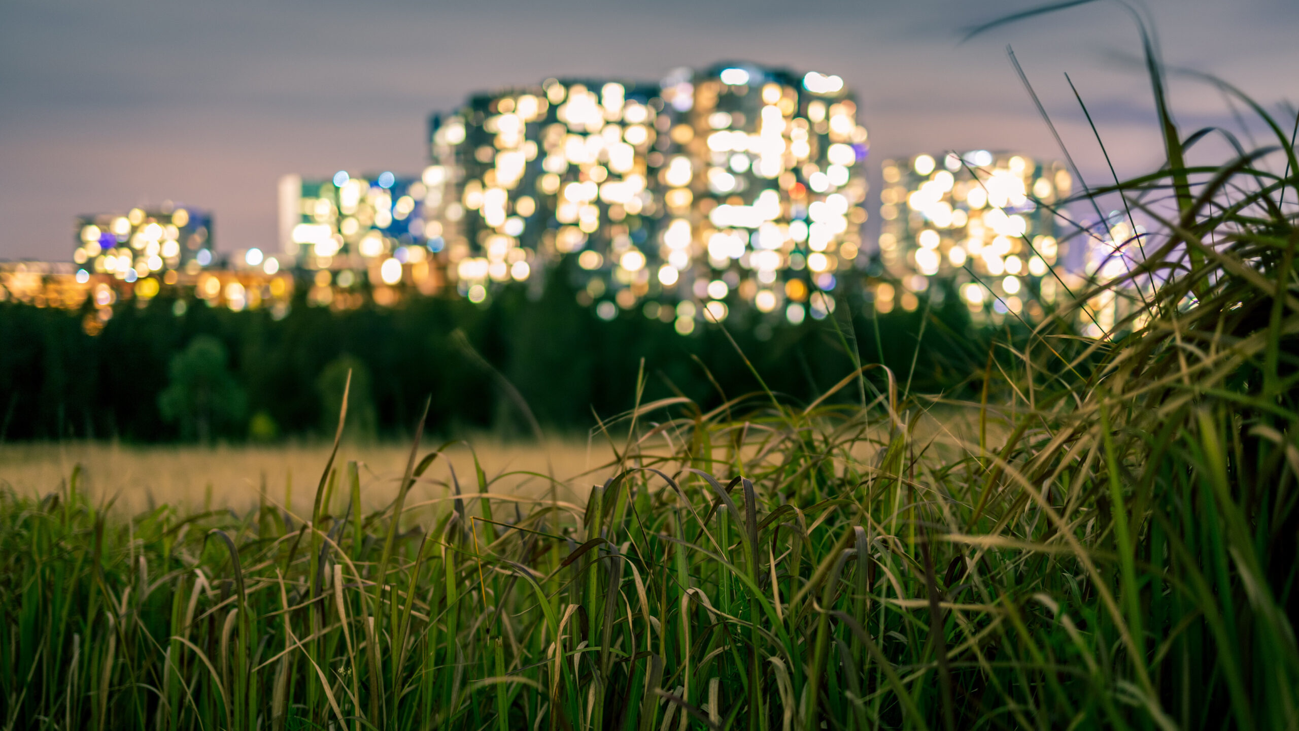 Property never sleeps