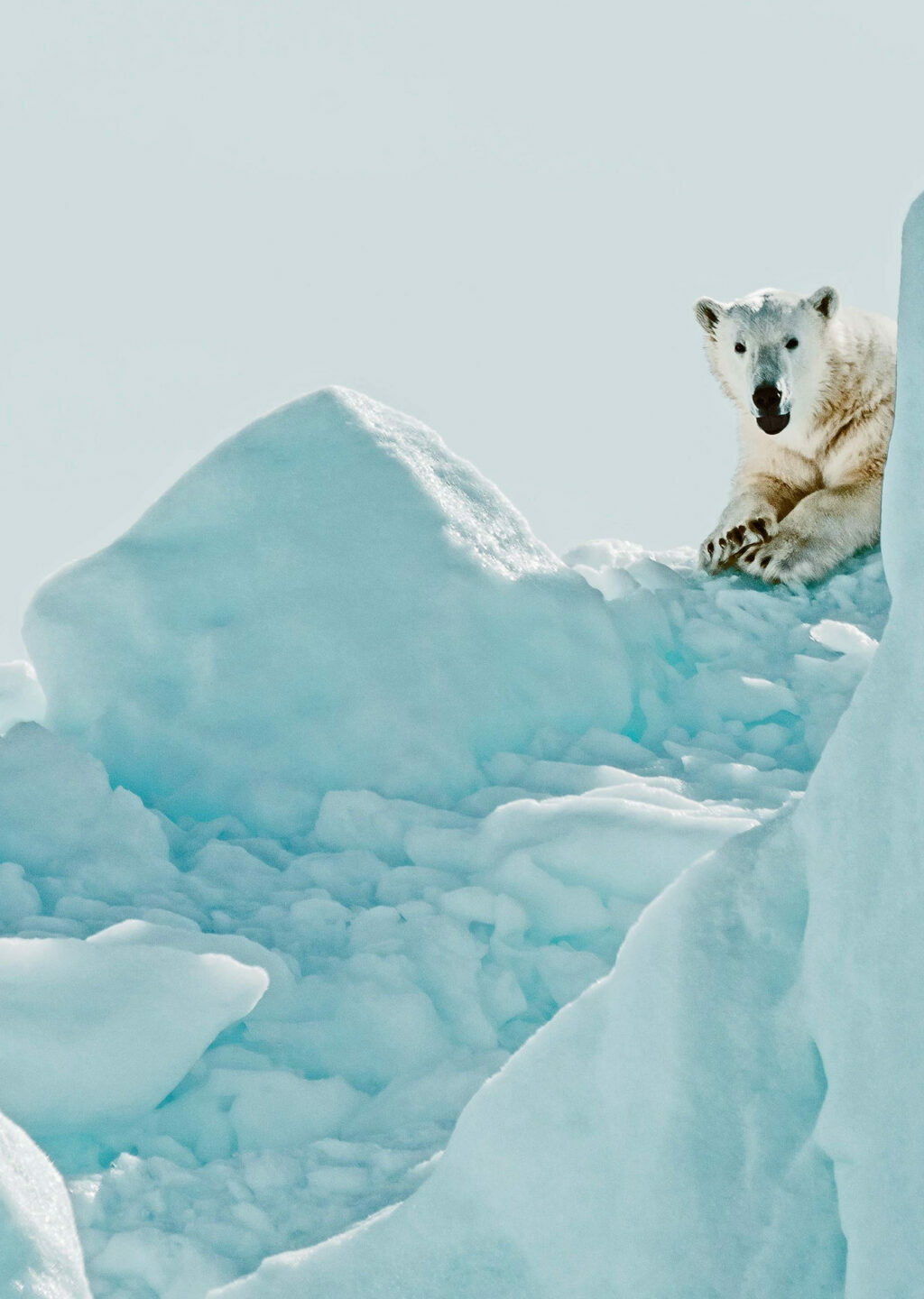 Building Climate Aware Portfolios