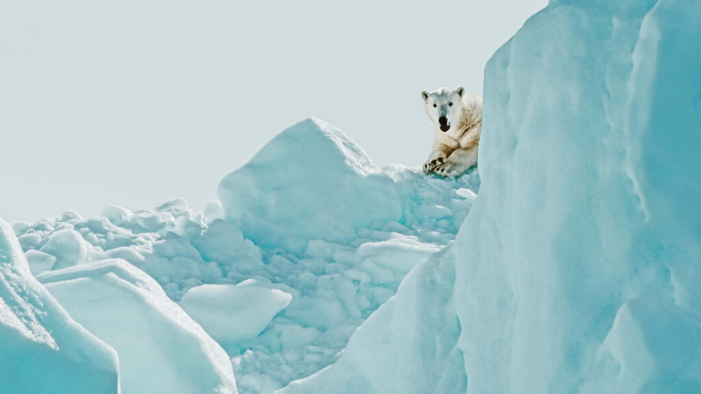 Building Climate Aware Portfolios