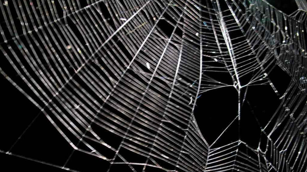 The failure of fancy strategies