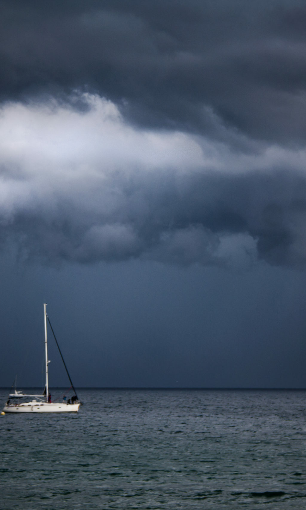 Market rules. There are no rules