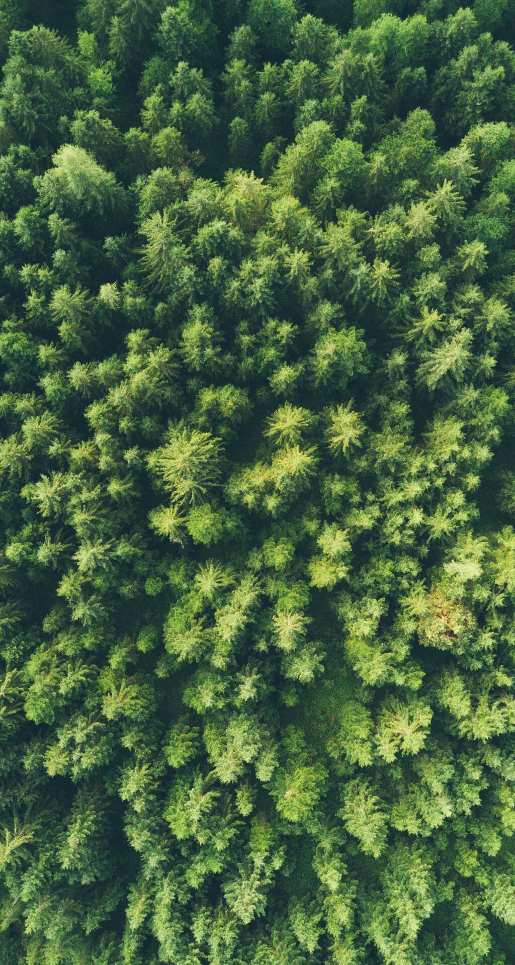 ASX update; a win for ESG