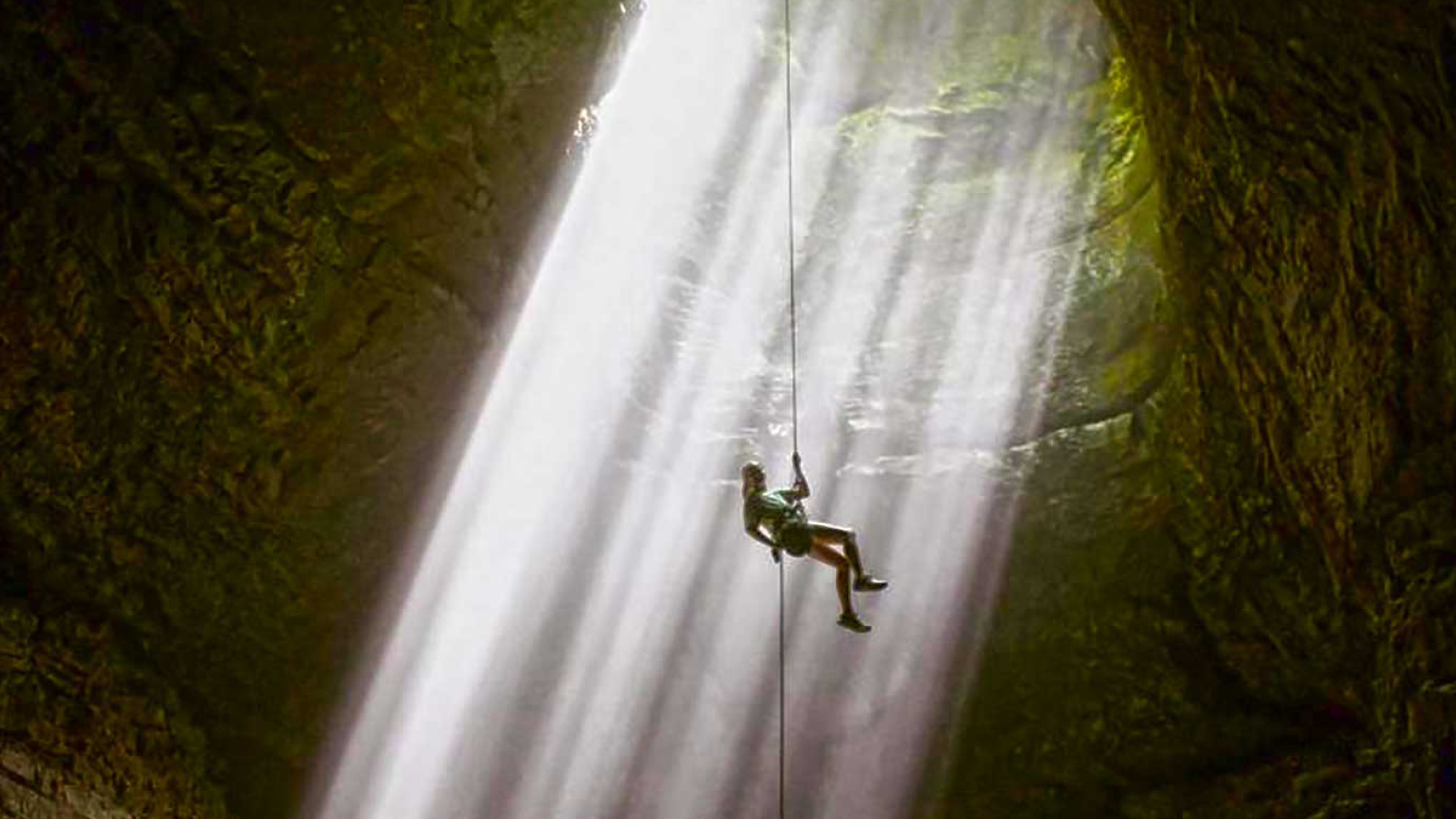 Evergreen Ratings – a new player in research