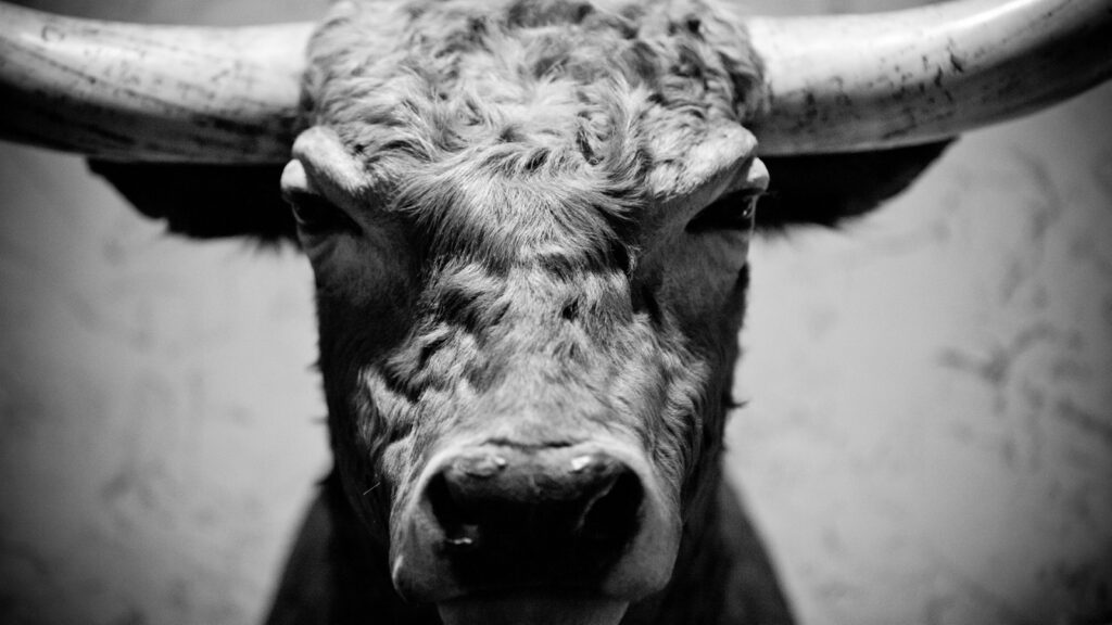 Attending to your shorts