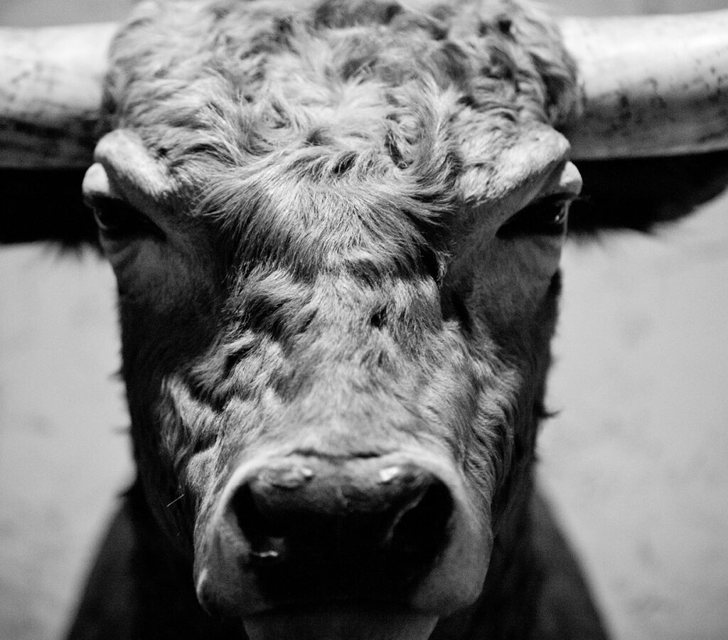 Attending to your shorts