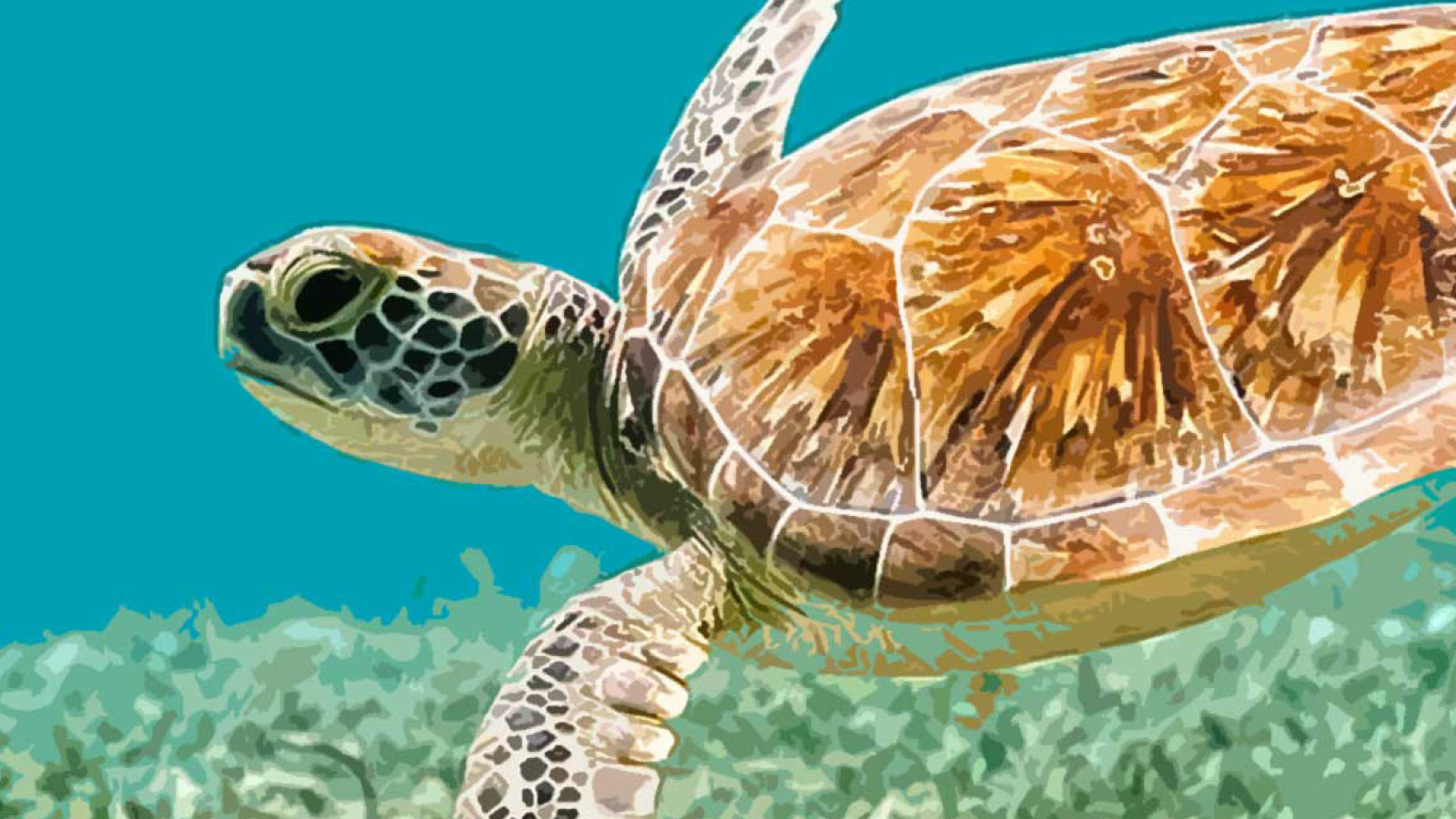 Australian Ethical hits $5 billion after 35 years