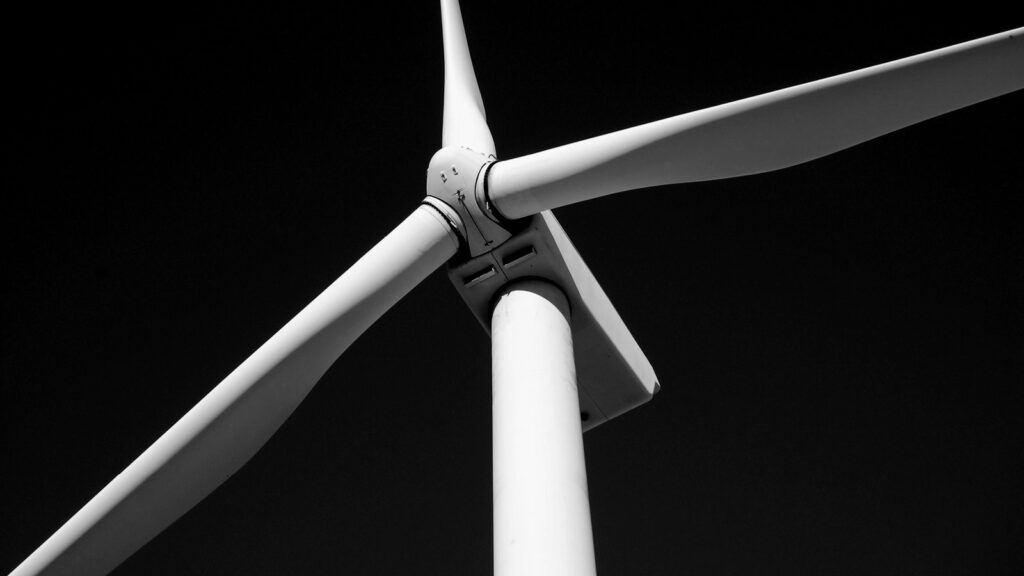 Green bonds enter mainstream amid pandemic