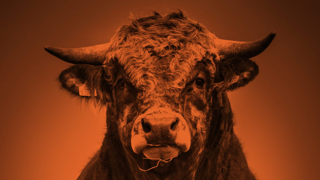 BetaShares eyes offshore growth with new partner