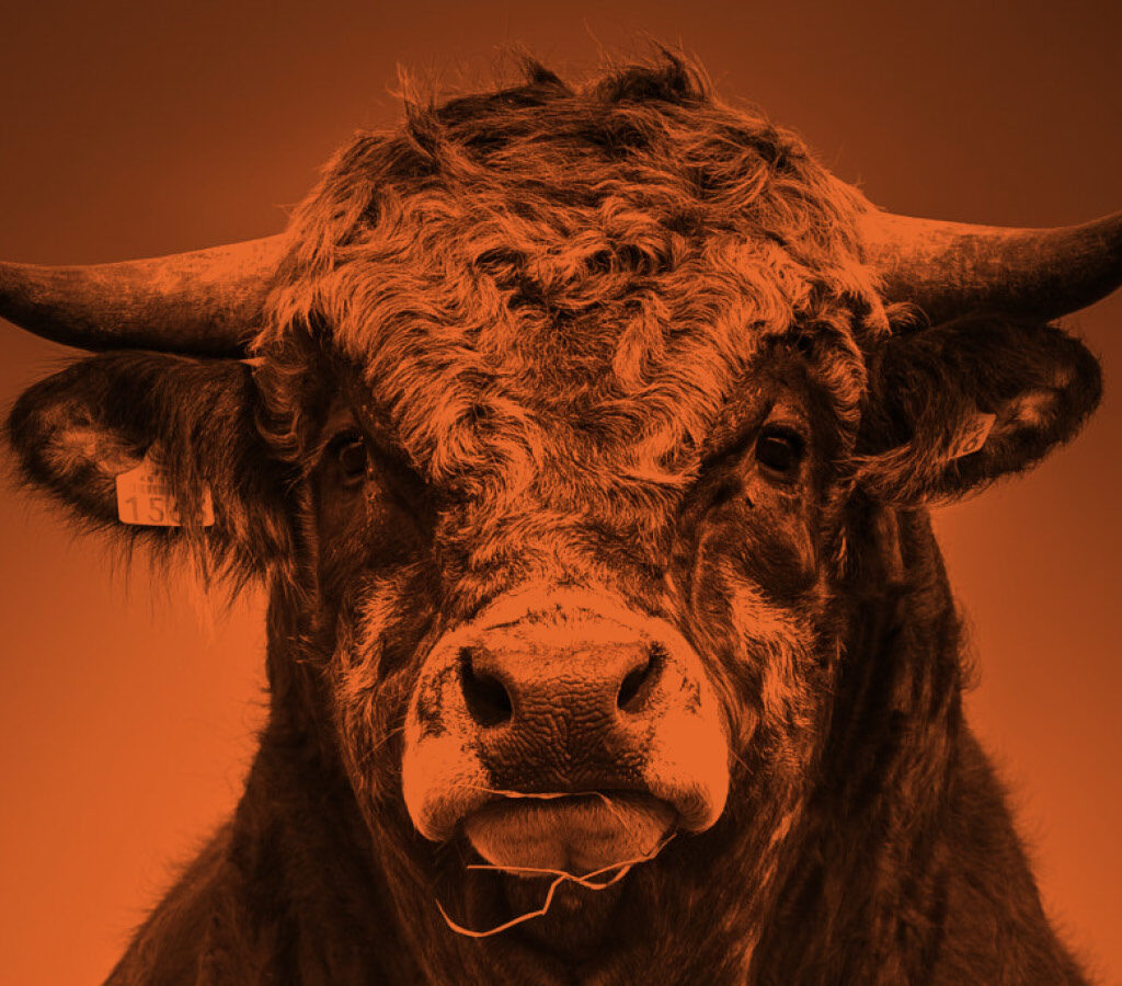 BetaShares eyes offshore growth with new partner