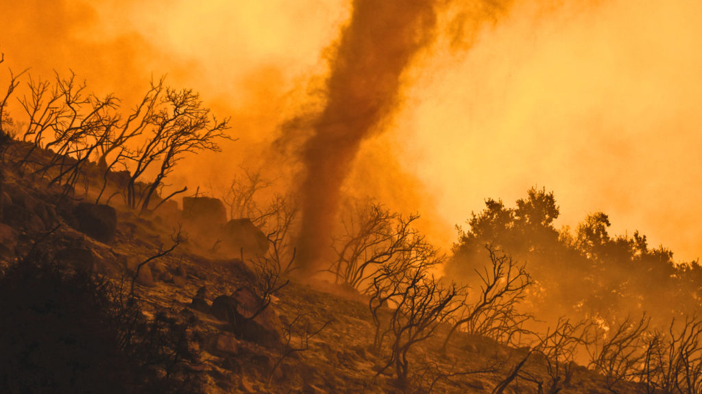 Digital divide exacerbated income inequality during pandemic