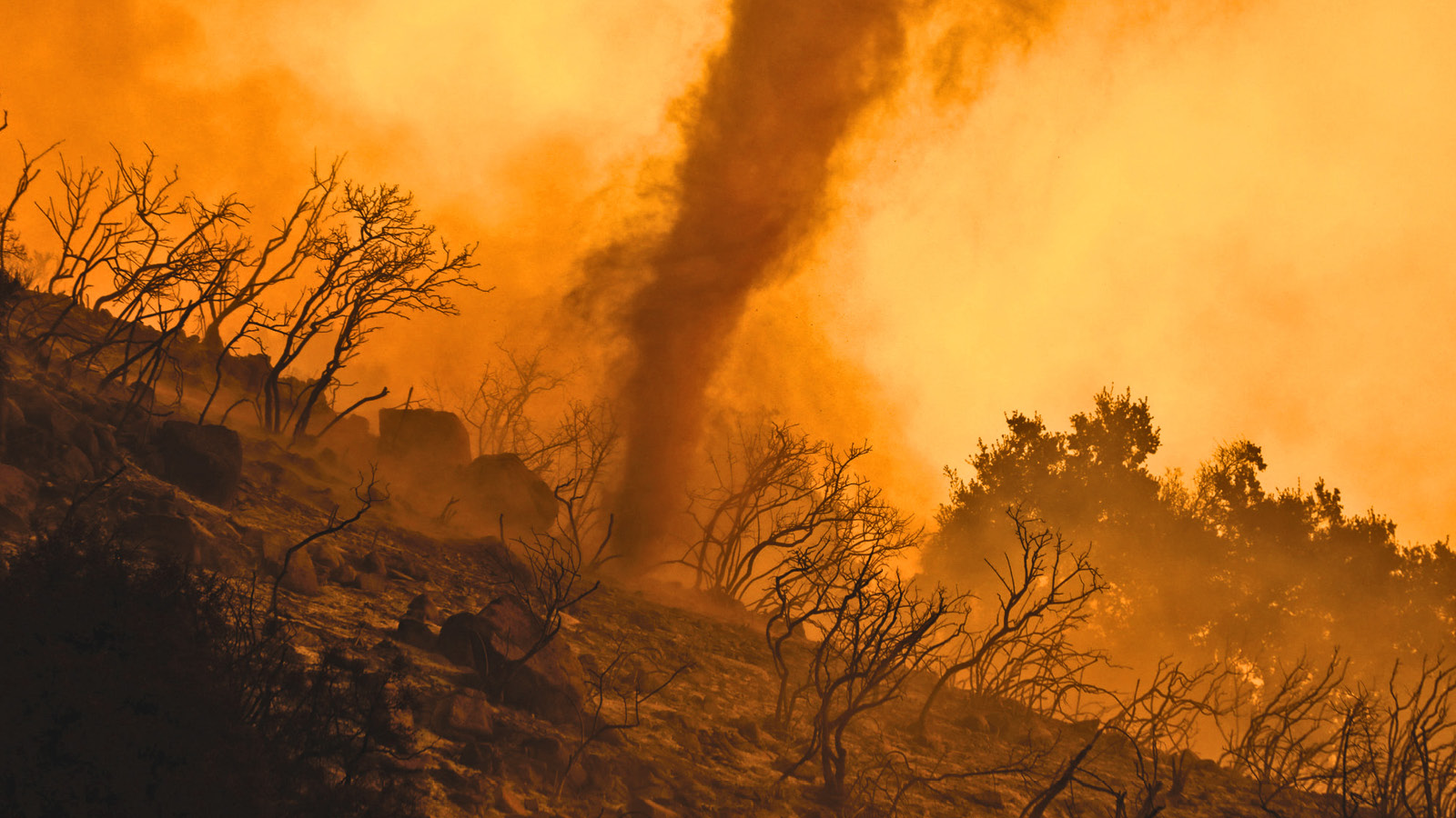 Digital divide exacerbated income inequality during pandemic