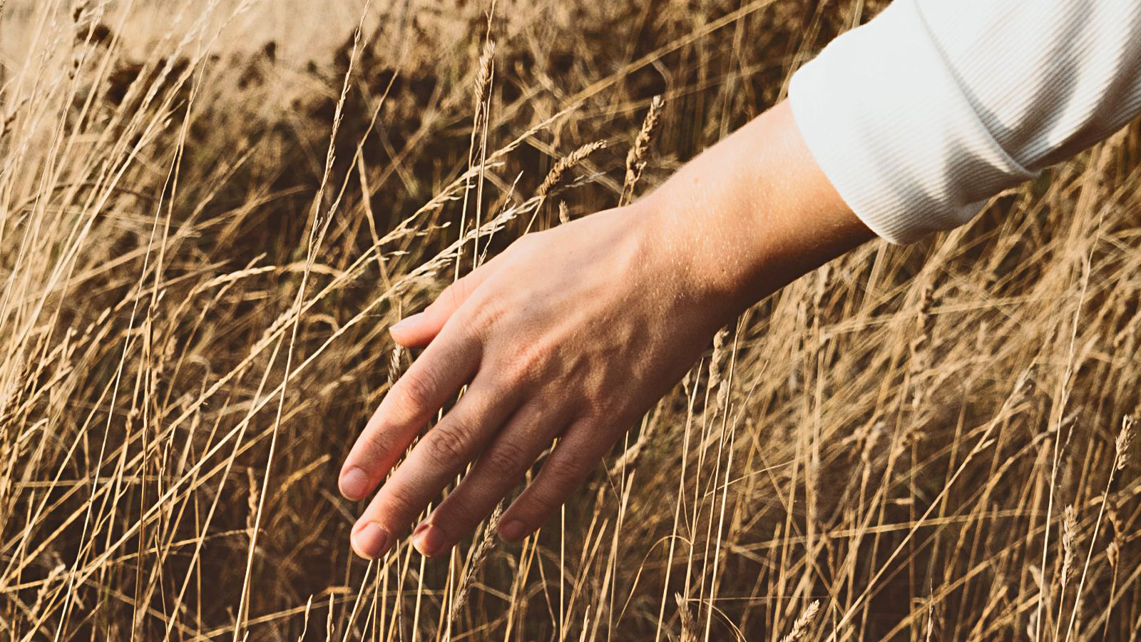Australian Ethical wins Responsible Manager of the Year
