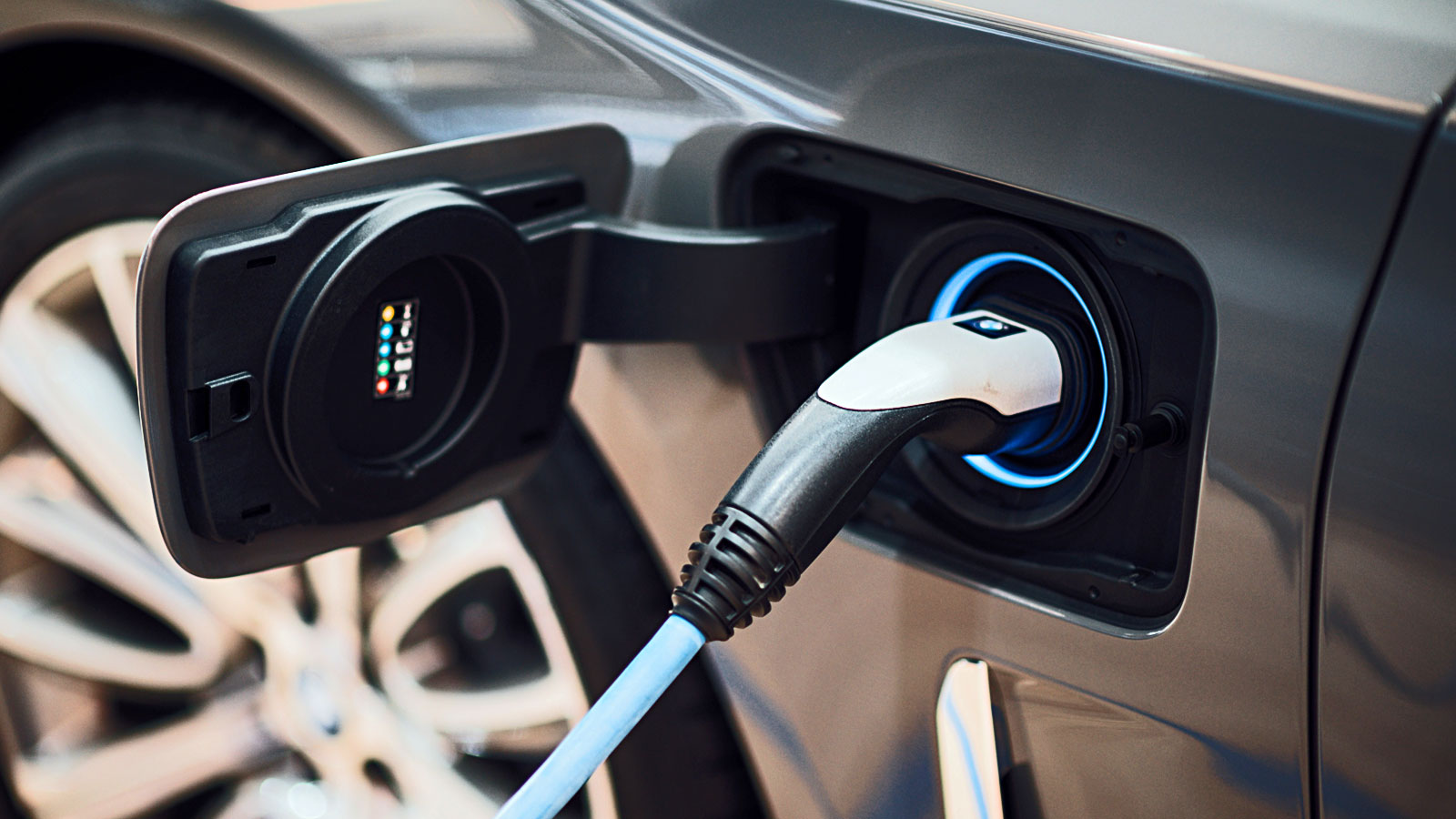 ‘Uneven’ impact of race to net zero opens huge opportunity