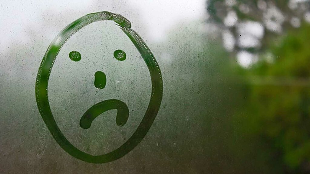 Transparency key as advisers delve into private markets