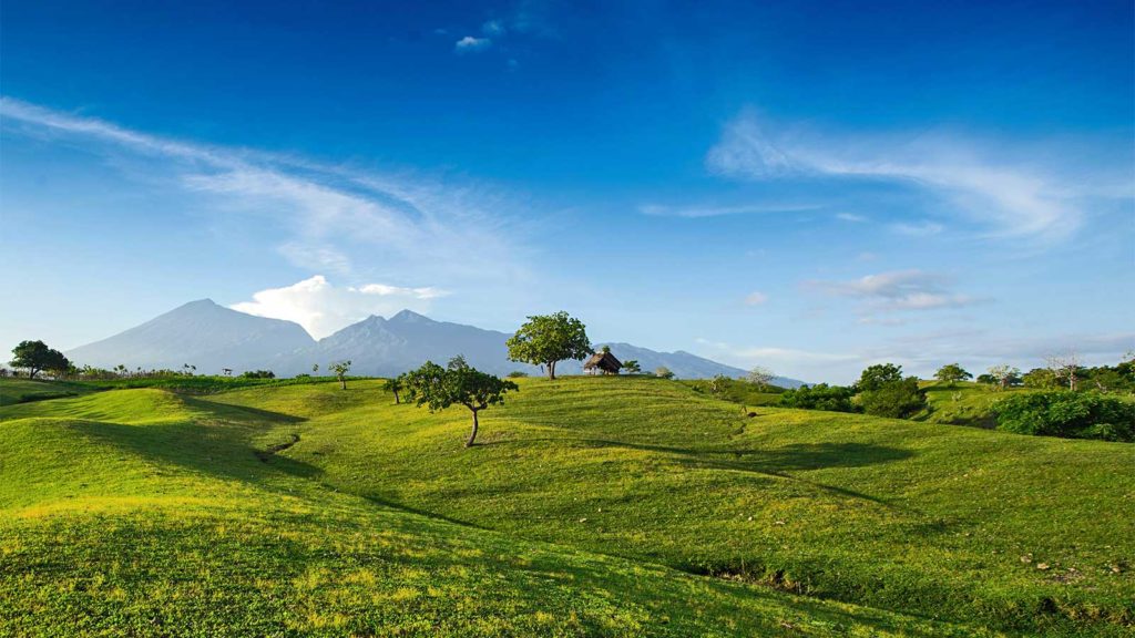 Pikoulas heads for greener pastures