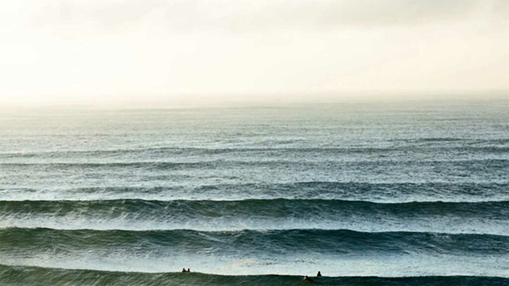 Separating good stock picking from momentum