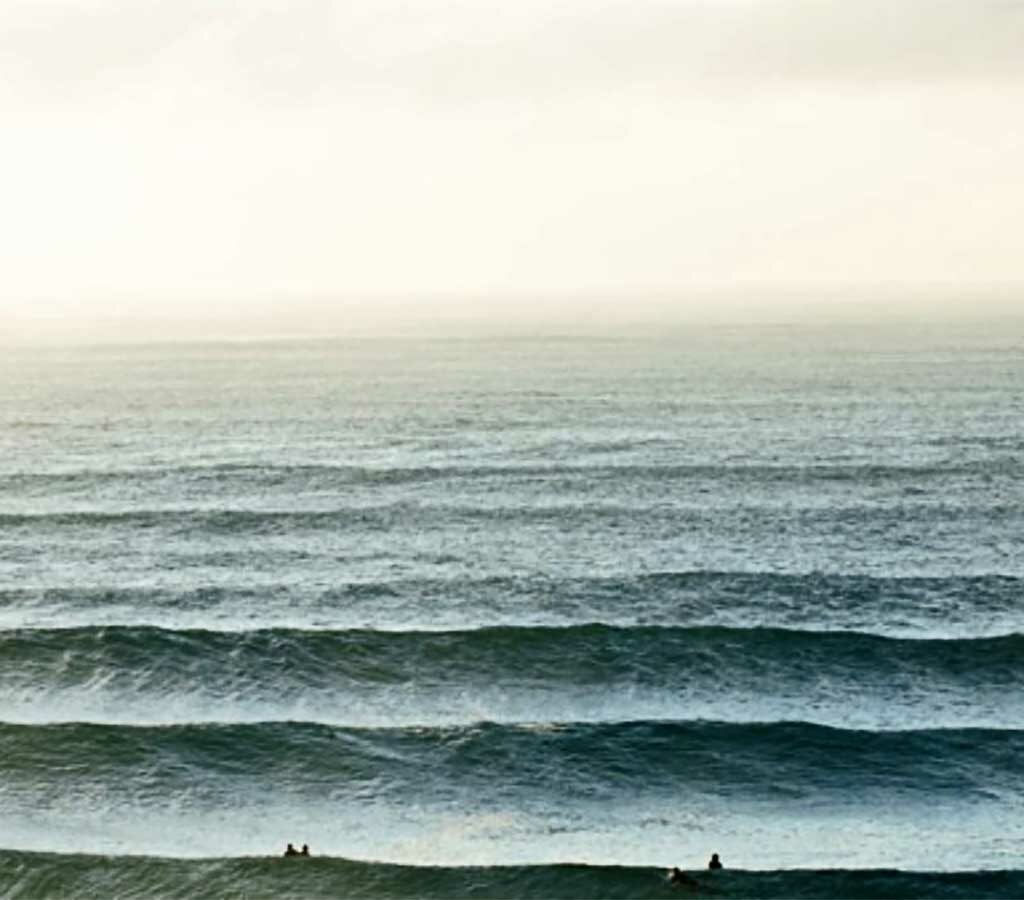 Separating good stock picking from momentum