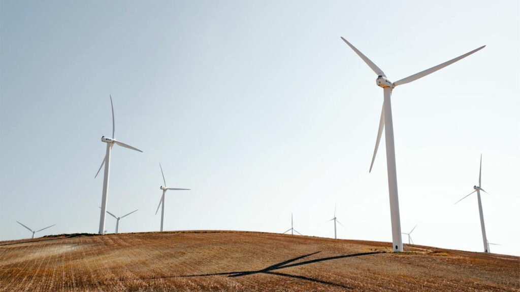 Sustainable funds boom surges to another record