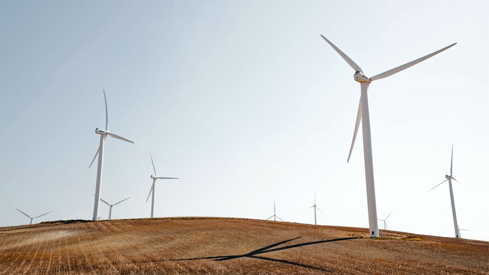 Sustainable funds boom surges to another record