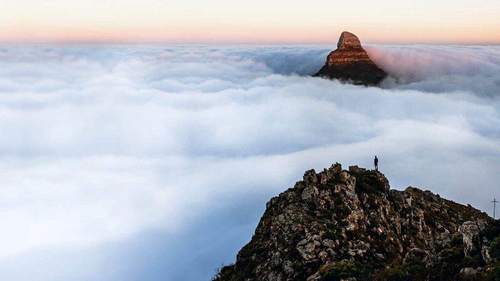 Net-zero knowledge gap no barrier to investment