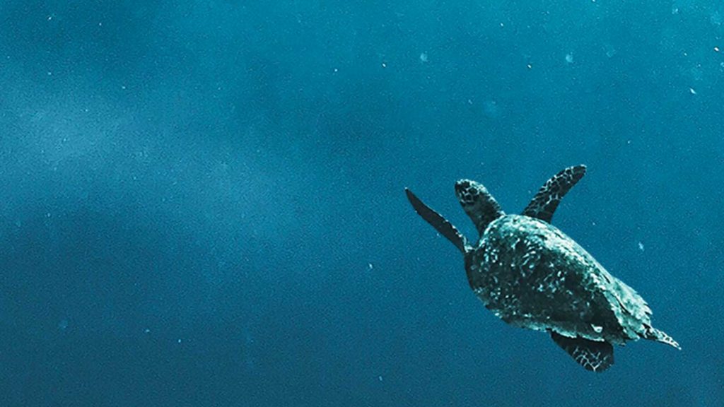 Advisers, open your eyes before clients demand it