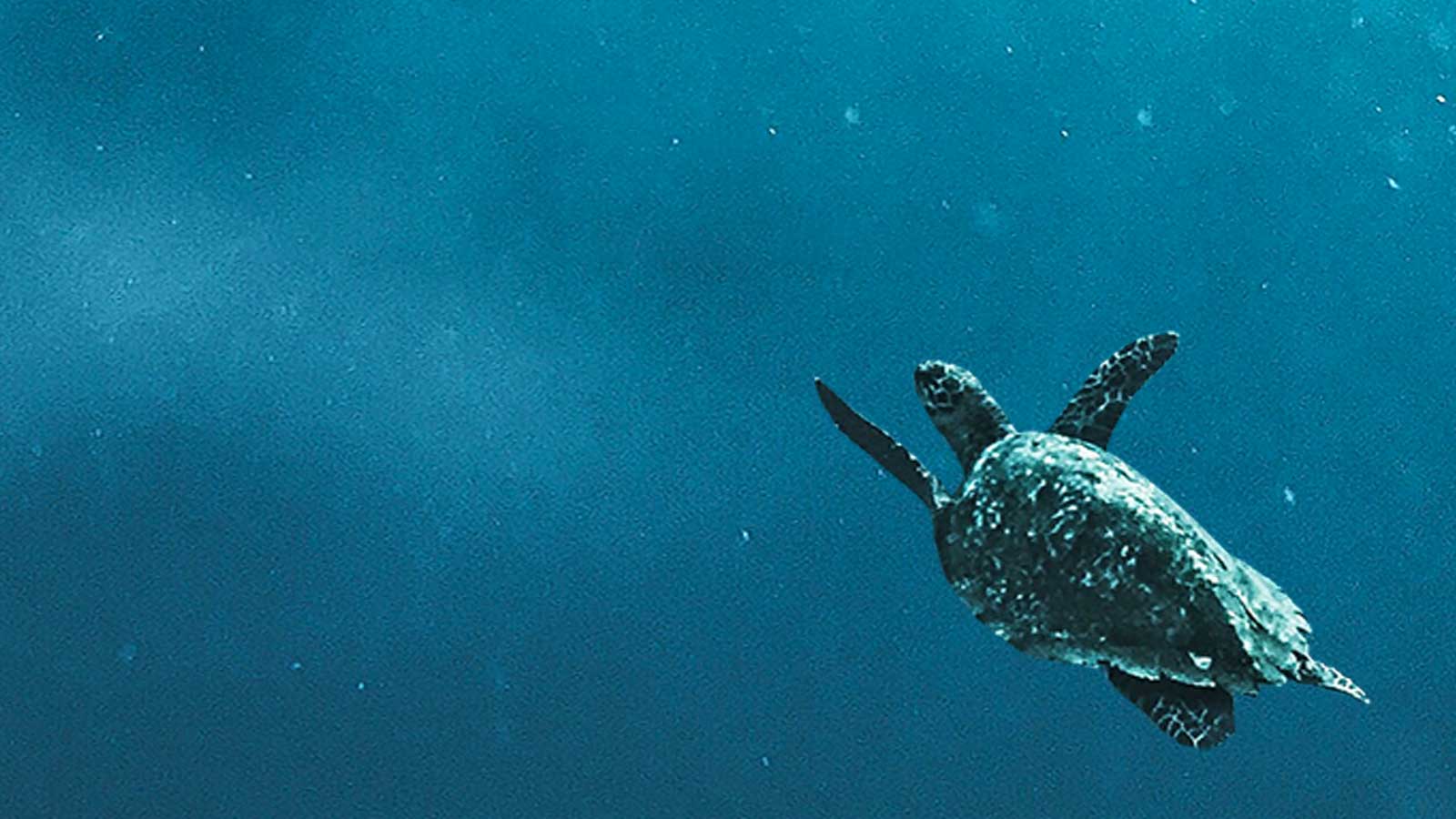 Advisers, open your eyes before clients demand it