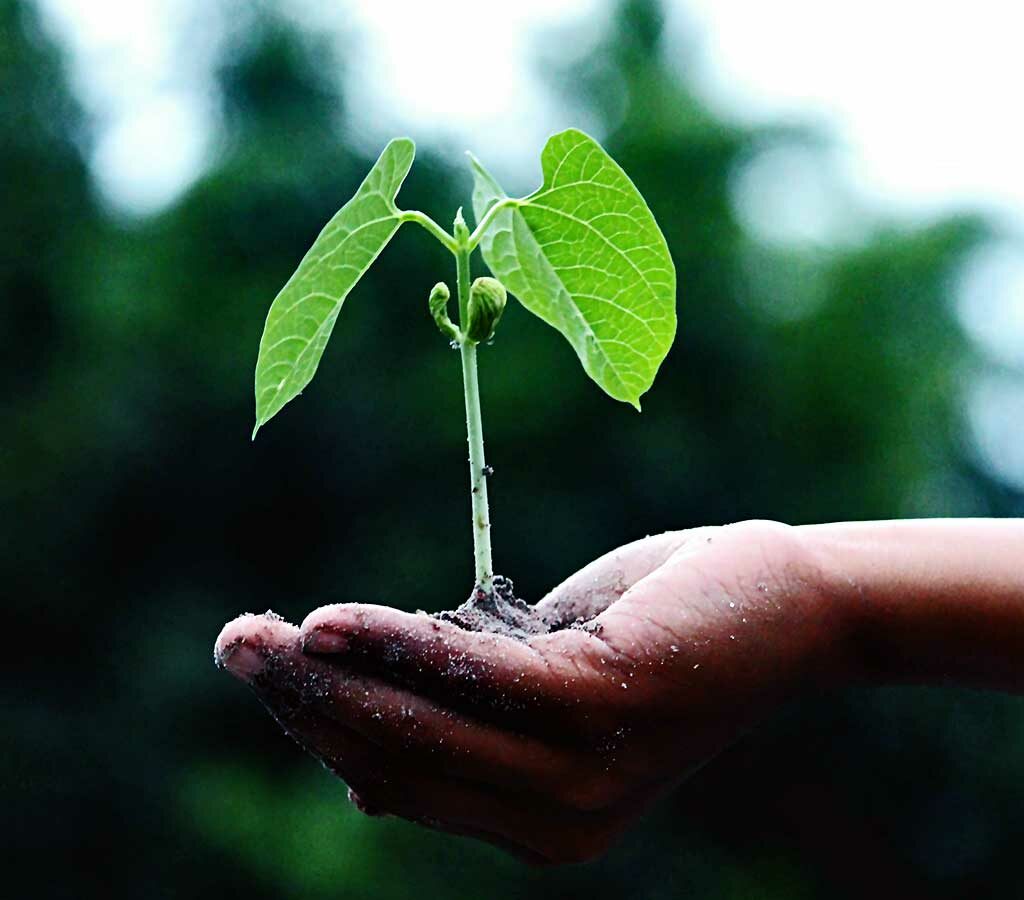 Climate change, COVID travel and the law of large numbers