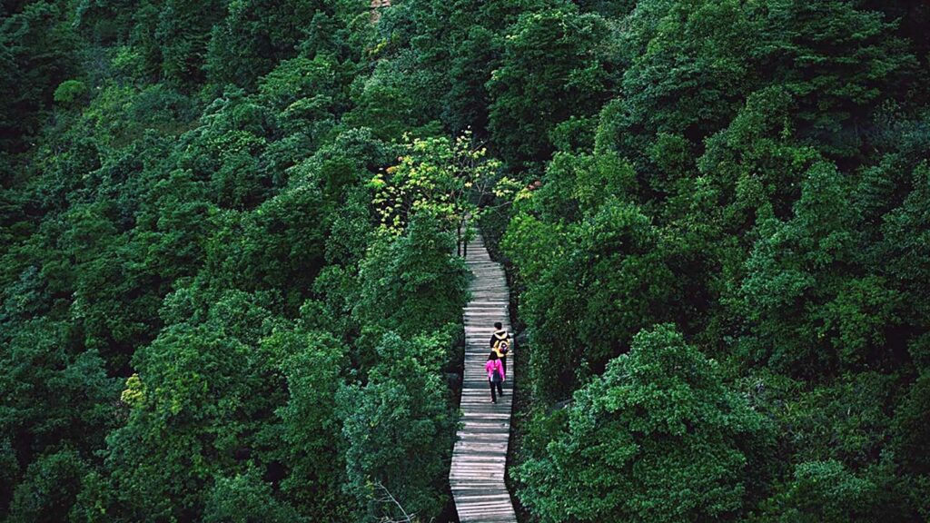 How investing in the SDGs mixes good causes with great returns