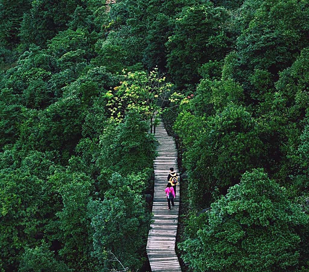 How investing in the SDGs mixes good causes with great returns