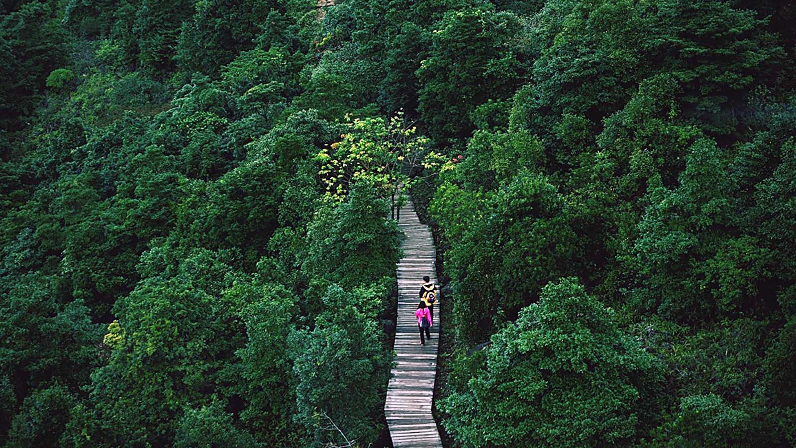 How investing in the SDGs mixes good causes with great returns