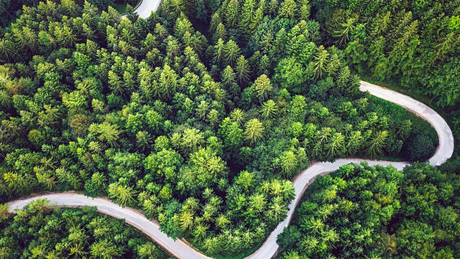 ESG integration is like ‘putting sugar in your tea