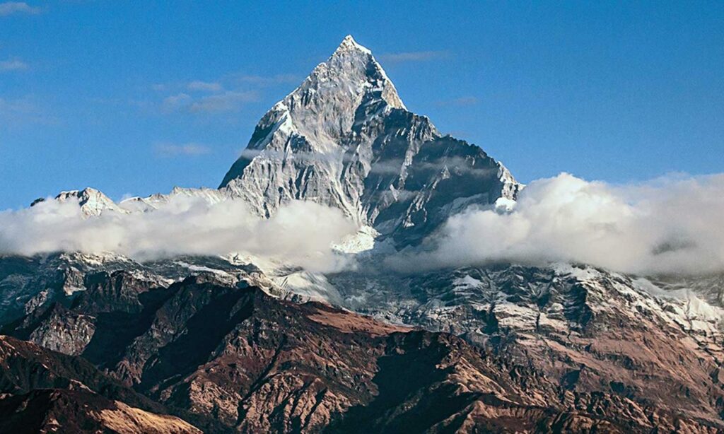 Pinnacle joins white-hot private equity market