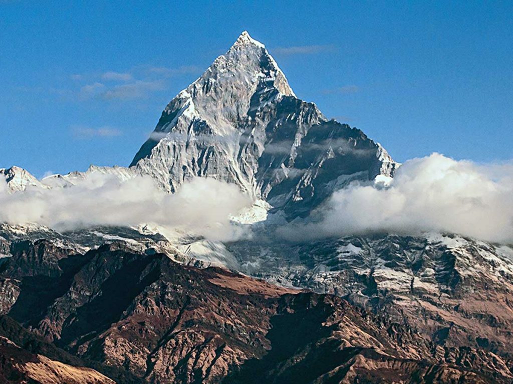 Pinnacle joins white-hot private equity market