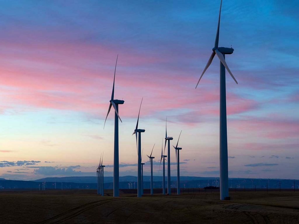 It pays to be green as responsible investment Australian equity funds outperform