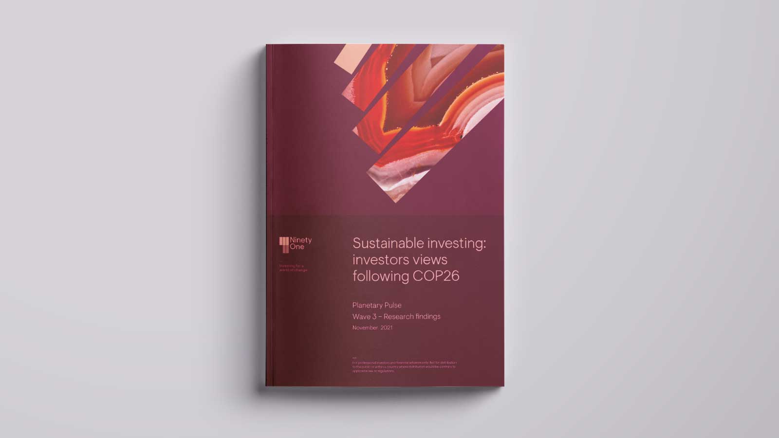 Sustainable investing: investors views following COP26