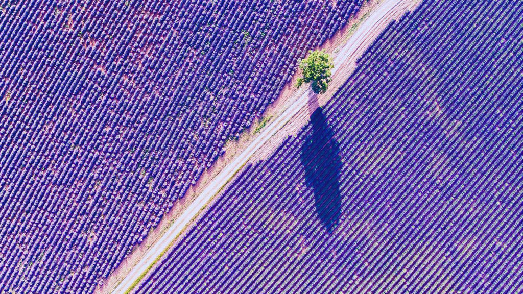 Private markets remain key to income, diversification